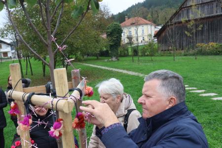 Posaditev  rožnatega drevesa v Pocinovem vrtu 18 Foto Ljubo Vukelič